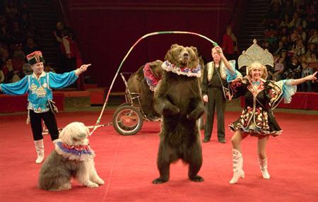 “Хөрш гурав” циркийн тоглолт тоглогдоход бэлэн болжээ